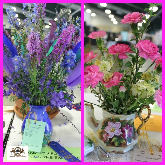 Profile Picture of Ruth Nicolaus (@rodeomediagal) on Poshmark