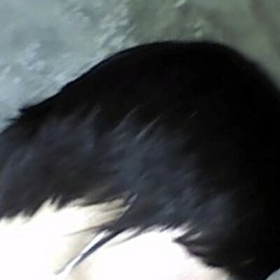 Profile Picture of Kim Jae Hyeong (@Neve_Kim) on Twitter