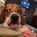 Profile Picture of Tom Unger (@tom.unger.10) on Facebook