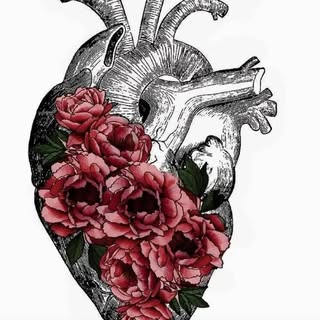 Profile Picture of savi_kitty_2004 (@srinivasan.savitha) on Instagram