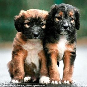 Profile Picture of Elsa Carmona (@158787723) on Myspace