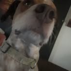 Profile Picture of Jonathan Walk (@Jonathan-Walk) on Facebook