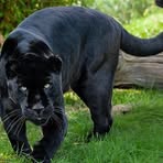 Profile Picture of Brian Marcus (@Brian-Marcus) on Facebook