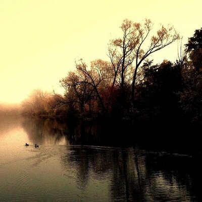 Profile Picture of Cory Hendrix (@Cdog14Cory) on Twitter
