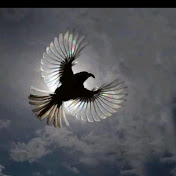 Profile Picture of Jay Wesson (@rapscriptur3) on Youtube