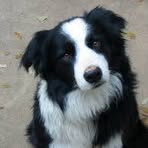 Profile Picture of Joe Studhouse (@joe.studhouse) on Facebook