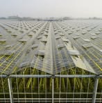 Profile Picture of Mark Cheng (@Mark17861209381) on Facebook