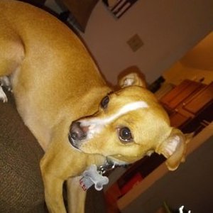 Profile Picture of Nate Burson (@BursonNate) on Twitter