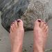 Profile Picture of Marion Haas (@amhaas0615) on Pinterest