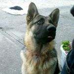 Profile Picture of Colin Rock (@colin_rock4) on Instagram