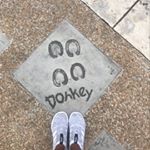 Profile Picture of Ames (@aimee.berman) on Instagram