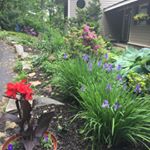 Profile Picture of Dorian Mcclintock (@mcclintock.dor) on Instagram