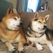 Profile Picture of Matt Crowell (@Crowrulz45) on Youtube