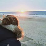 Profile Picture of Julia (@julia_wulfi) on Instagram