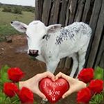 Profile Picture of Lemparas Chris (@lemparaschris) on Instagram