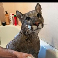 Profile Picture of Jacob Buttons (@jacob-buttons) on Quora
