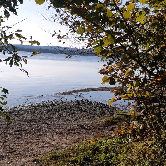 Profile Picture of Lisa Hofmeister (@lisa.hofmeister02) on Tiktok