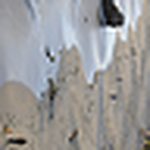 Profile Picture of Steven Martin (@Steven Martin Photo) on Flickr