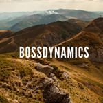 Profile Picture of Michelle McDevitt (@bossdynamics) on Instagram