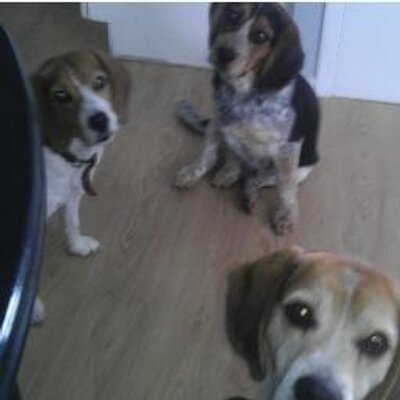 Profile Picture of Trevor Michaud (@mehoe12345) on Twitter