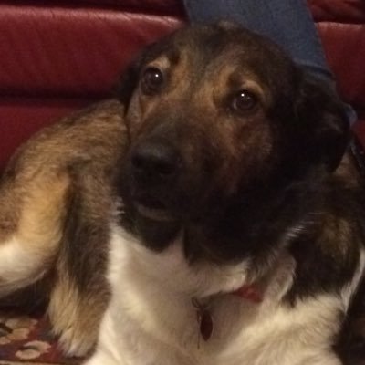 Profile Picture of Charles Gasser (@ChuckGasser) on Twitter