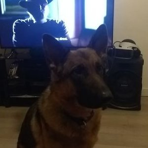 Profile Picture of Richard Fitch (@RichardFitch8) on Twitter