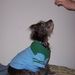 Profile Picture of Melody Martin (@opalmm) on Pinterest