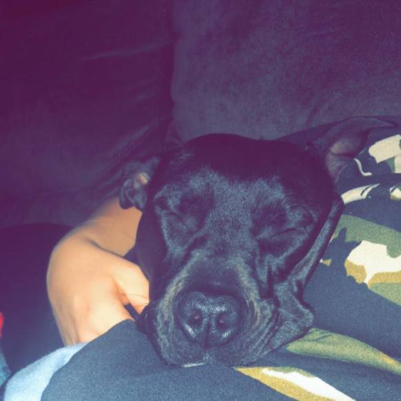 Profile Picture of Amber Bonewicz (@bambi_bam0312) on Poshmark