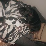 Profile Picture of L E O & G R A C I E (@leo_gracie_) on Instagram