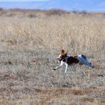 Traeden Scott Berchtold - Facebook Profile Picture of Traeden Scott Berchtold (@traedenberchtold) on Facebook