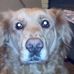 Profile Picture of Mark Crain (@mark.crain.315) on Facebook