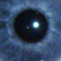 Profile Picture of Nathan Lance (@nathan-lance-2) on Quora