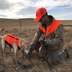 Profile Picture of Travis Lyne (@travislyne) on Instagram