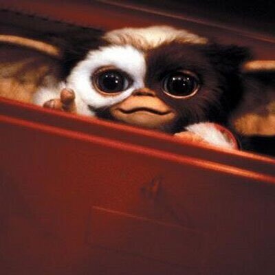 Profile Picture of Kyle McGinley (@KWM1997) on Twitter