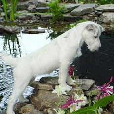 Profile Picture of Kenneth N. Bogue Jr. (@kenneth.n.bogue) on Facebook