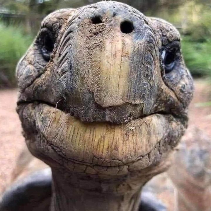 Profile Picture of Michael Teal (@user952358913) on Tiktok