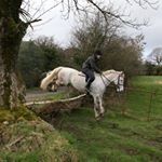 Profile Picture of jodie darrie (@jodie.spam__) on Instagram