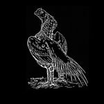 Dwayne Woods - Instagram Profile Picture of Dwayne Woods (@dwayne_woods) on Instagram