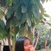 Profile Picture of Sheilla Joy Seraspe (Joy) (@sharagrace.seraspe) on Facebook
