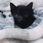 Profile Picture of Bing.Yo.Hsieh (@bingyou0122) on Instagram