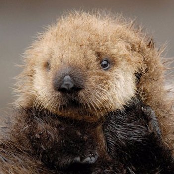 Profile Picture of Alexandra Hayden ATM (@alexhaya8a8) on Twitter