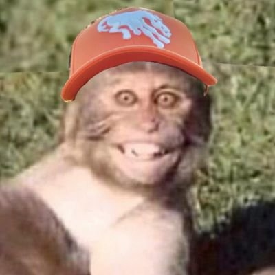 Profile Picture of Andy Quezada (@bleedorangnblue) on Twitter