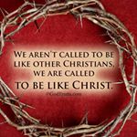 Profile Picture of Tanya Ralph (@oneblessedfarmer) on Instagram