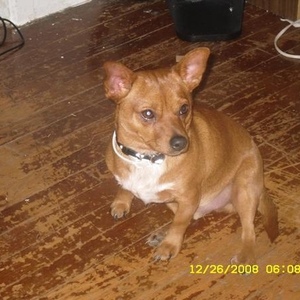 Profile Picture of Felix Robledo (@396707710) on Myspace