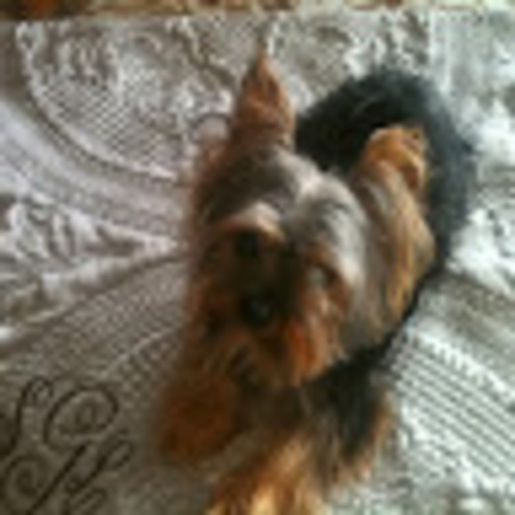 Profile Picture of Sandra Pancerz (@sandra_pancerz) on Poshmark