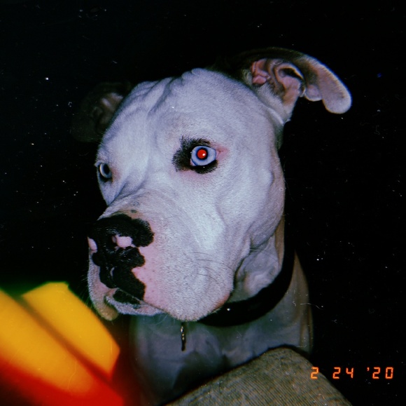 Profile Picture of Jasmine Schaefer (@jaschaefer7) on Poshmark