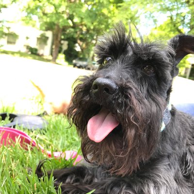 Profile Picture of Paul Brand (@paulbrand) on Twitter