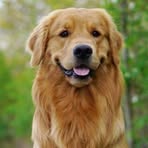 Profile Picture of Alain Boxs (@alain.boxs) on Facebook