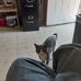 Profile Picture of Gary Baumgartner (@gary.baumgartner.165) on Facebook
