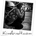 Profile Photo of Kim Arndt (@ksa81) on Pinterest